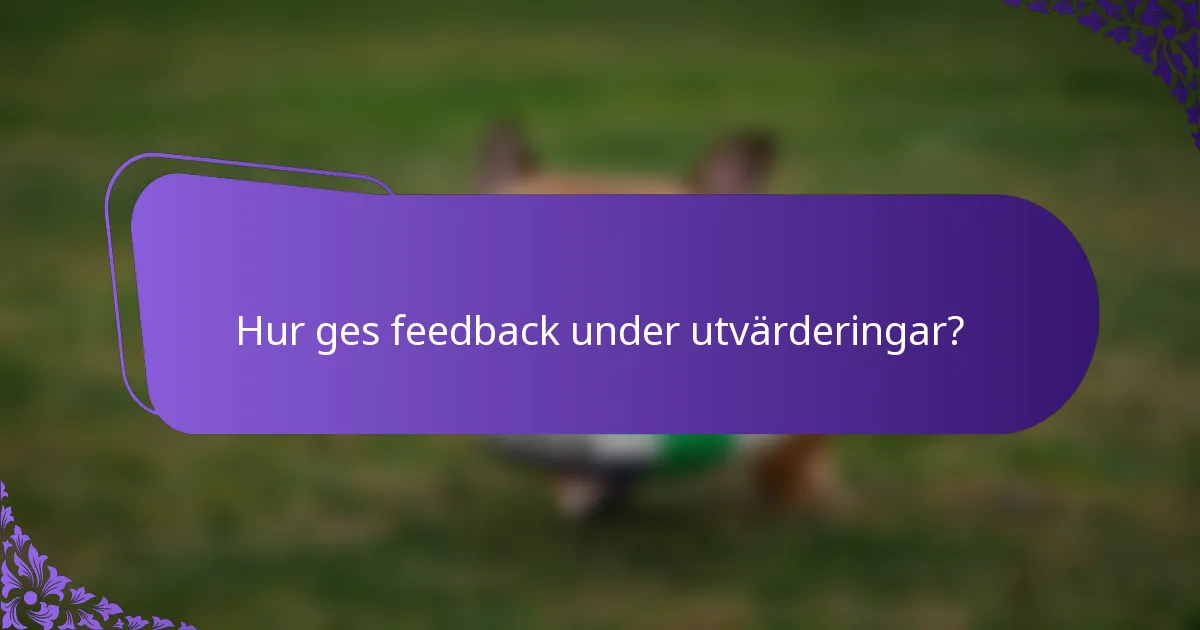 Hur ges feedback under utvärderingar?